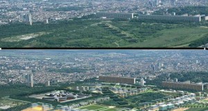 Restauré, le plateau de Haye conserve l’esprit de la forêt