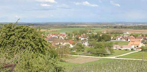 Le petit gris qui illumine les côtes de Toul