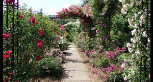 Spécial NANCY – Le jardin botanique du Montet