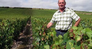 La Moselle développe son vignoble sans modération