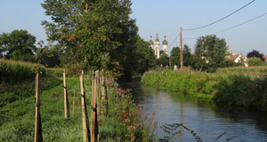 Le Rhin supérieur fait front commun pour protéger son eau