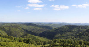 Vosges du nord – la trame verte et bleue s’exporte vers l’Allemagne