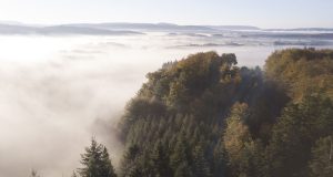 Grand Est : une centaine d’acteurs unis pour valoriser la forêt