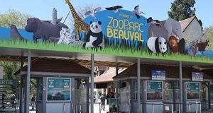 Malgré l’aide de l’Etat, les zoos vont perdre des plumes dans la crise